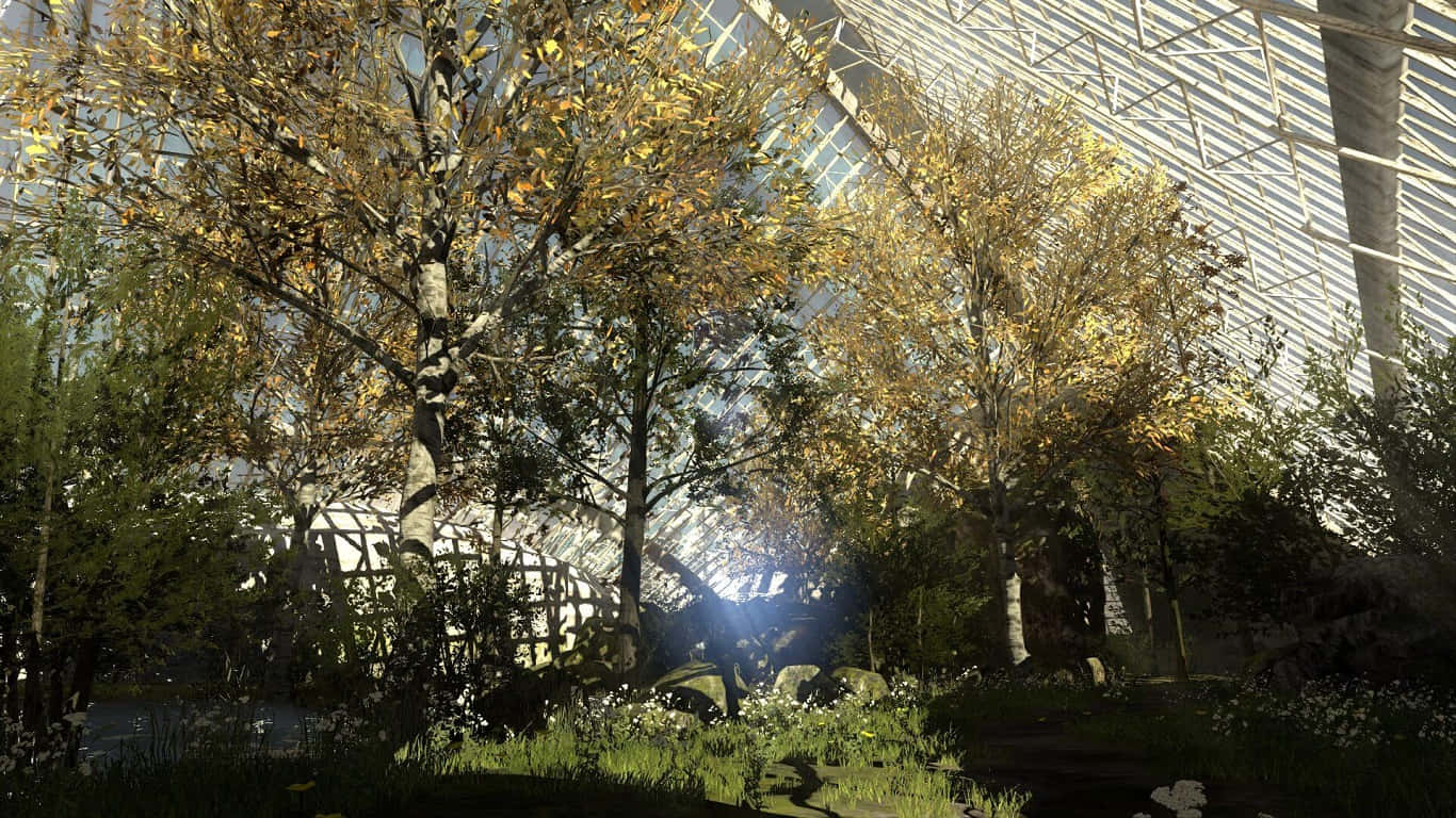 1366x768 The Talos Principle Gehenna Forest Nền Hình nền