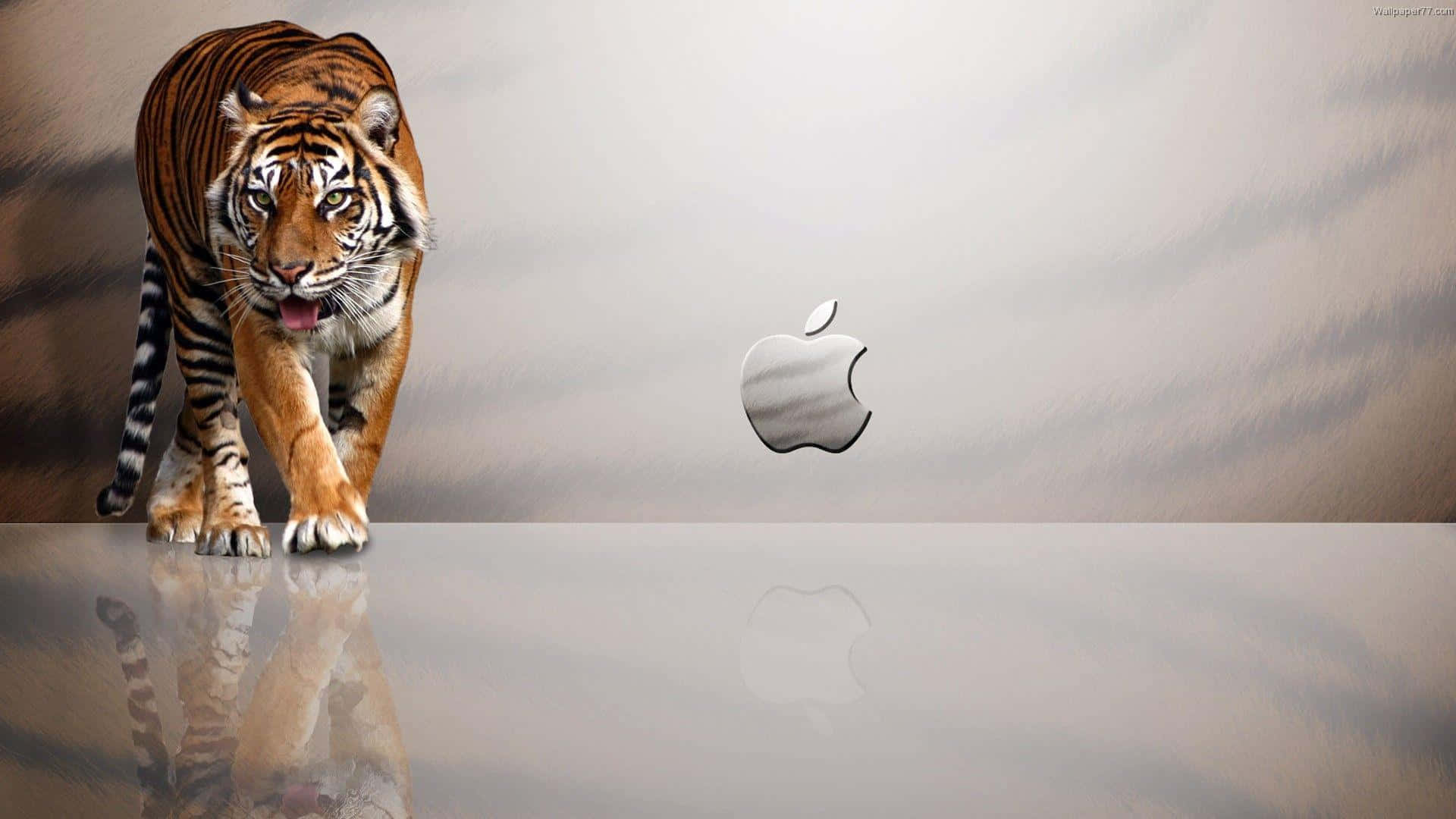 1920x1080 Nền Apple Vằn Hổ Hình nền