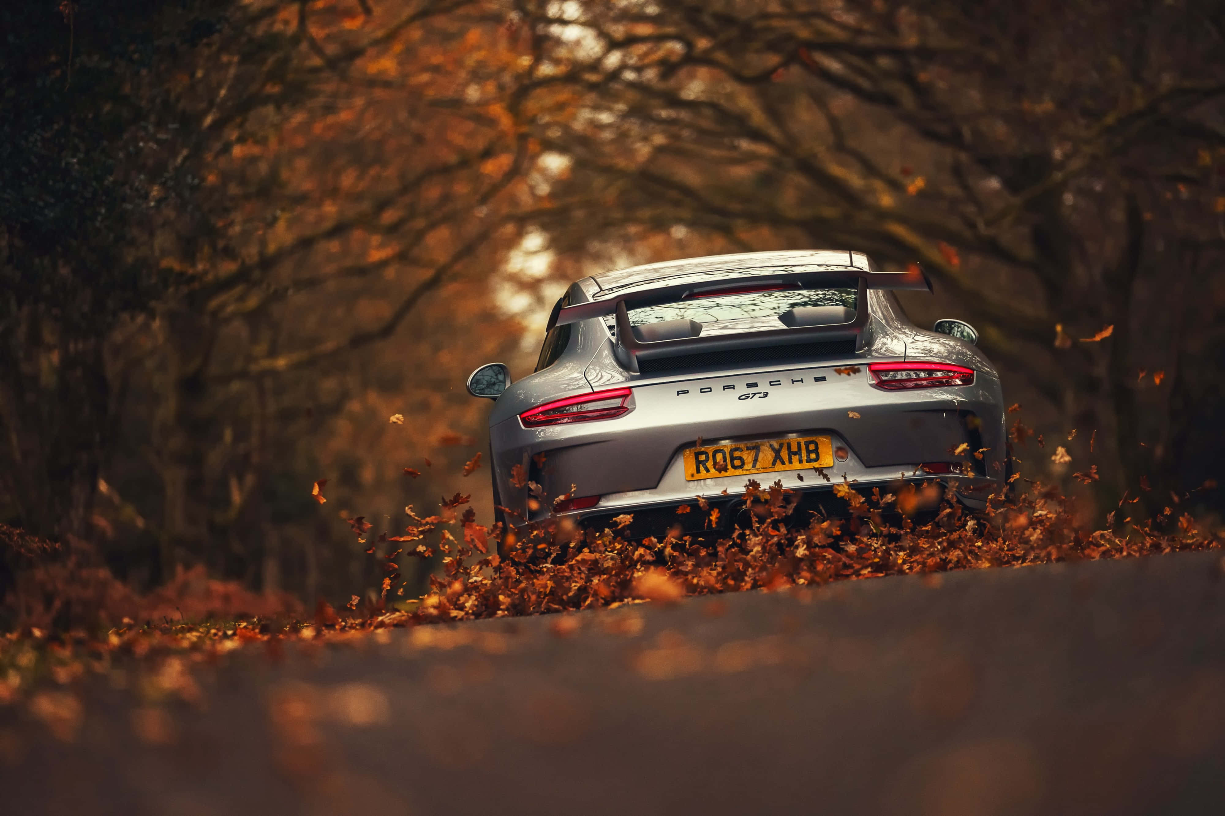 4K Ultra HD Porsche Mùa Thu Hình nền