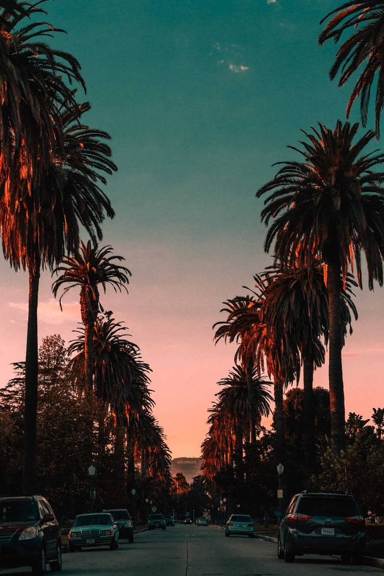 Đại lộ Hoàng hôn Biểu tượng Hollywood Hình nền