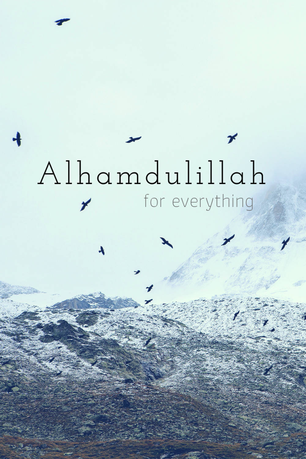Alhamdulillah Chim Và Núi Hình nền