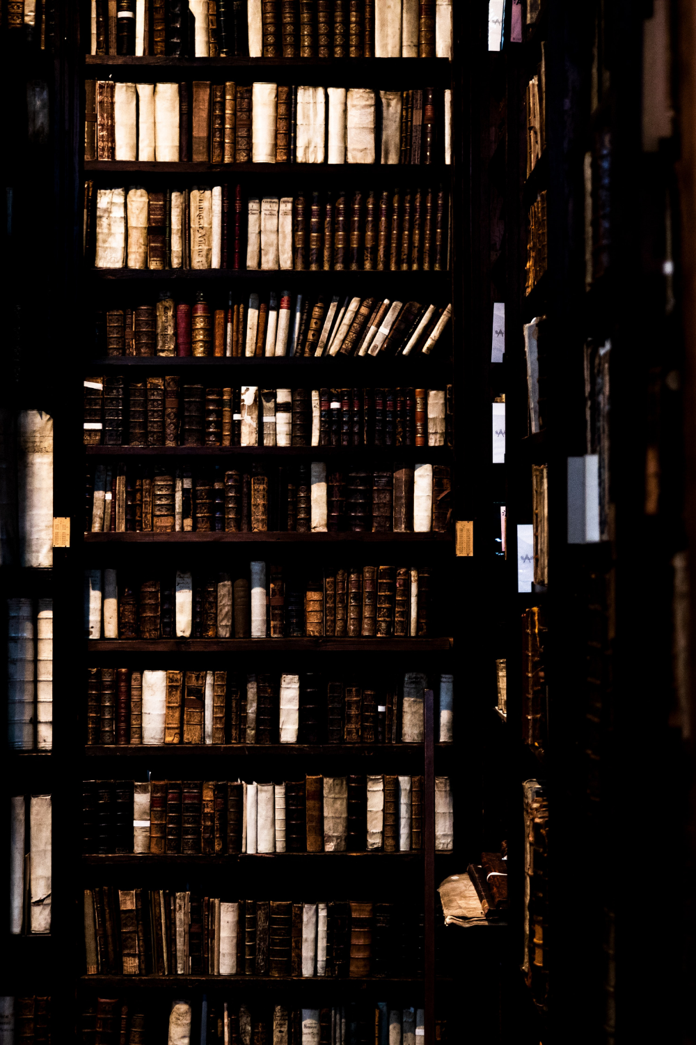 Đắm chìm trong bóng tối của Dark Academia Hình nền