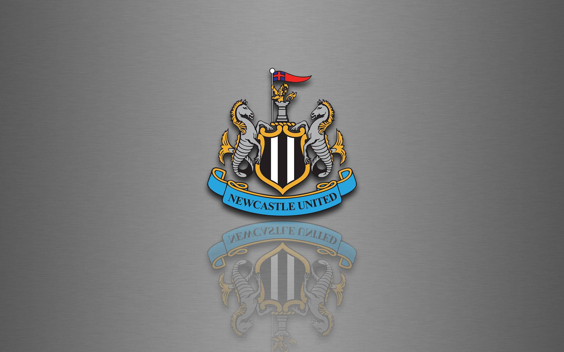 Đám đông cuồng nhiệt theo dõi Newcastle United F.C. ra sân! Hình nền