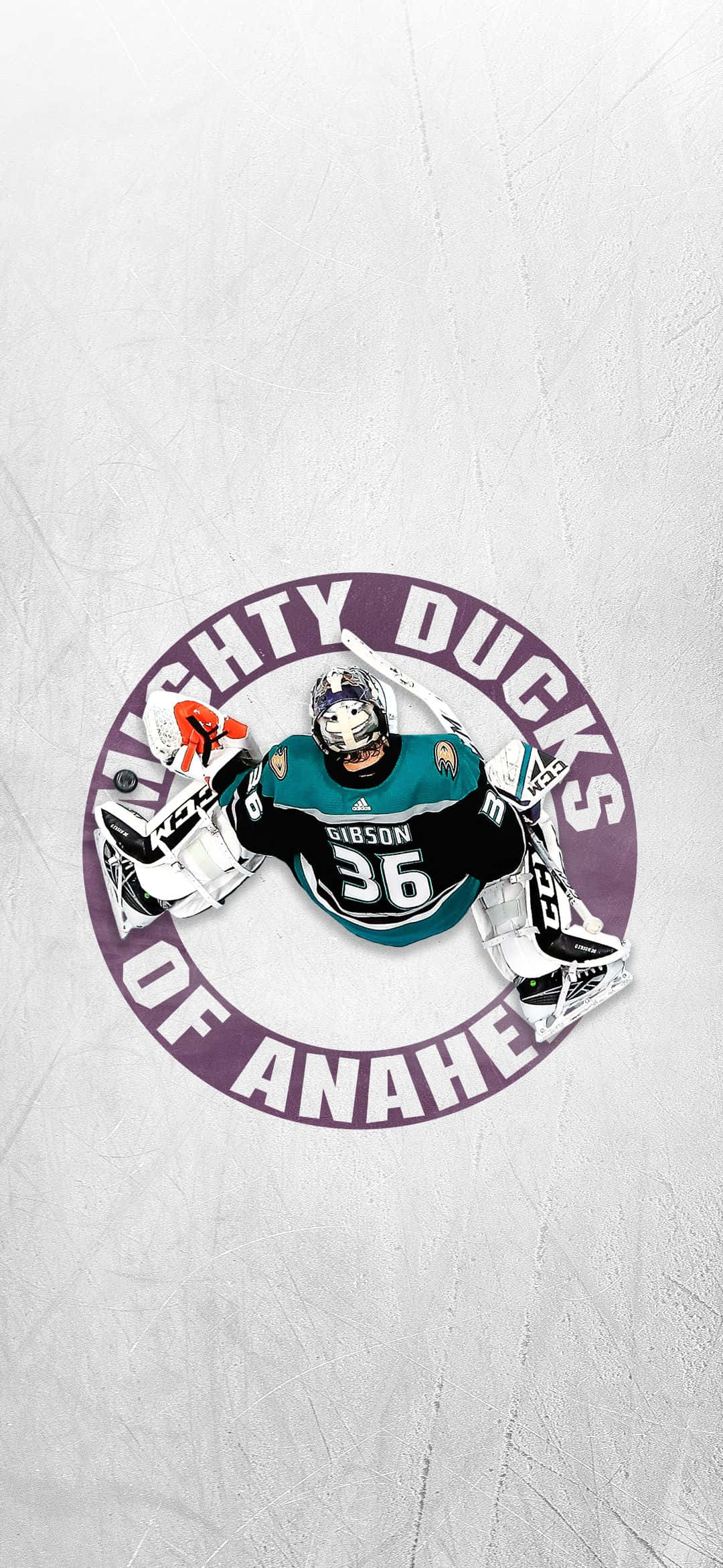 Ăn mừng chiến thắng cùng Anaheim Ducks Hình nền
