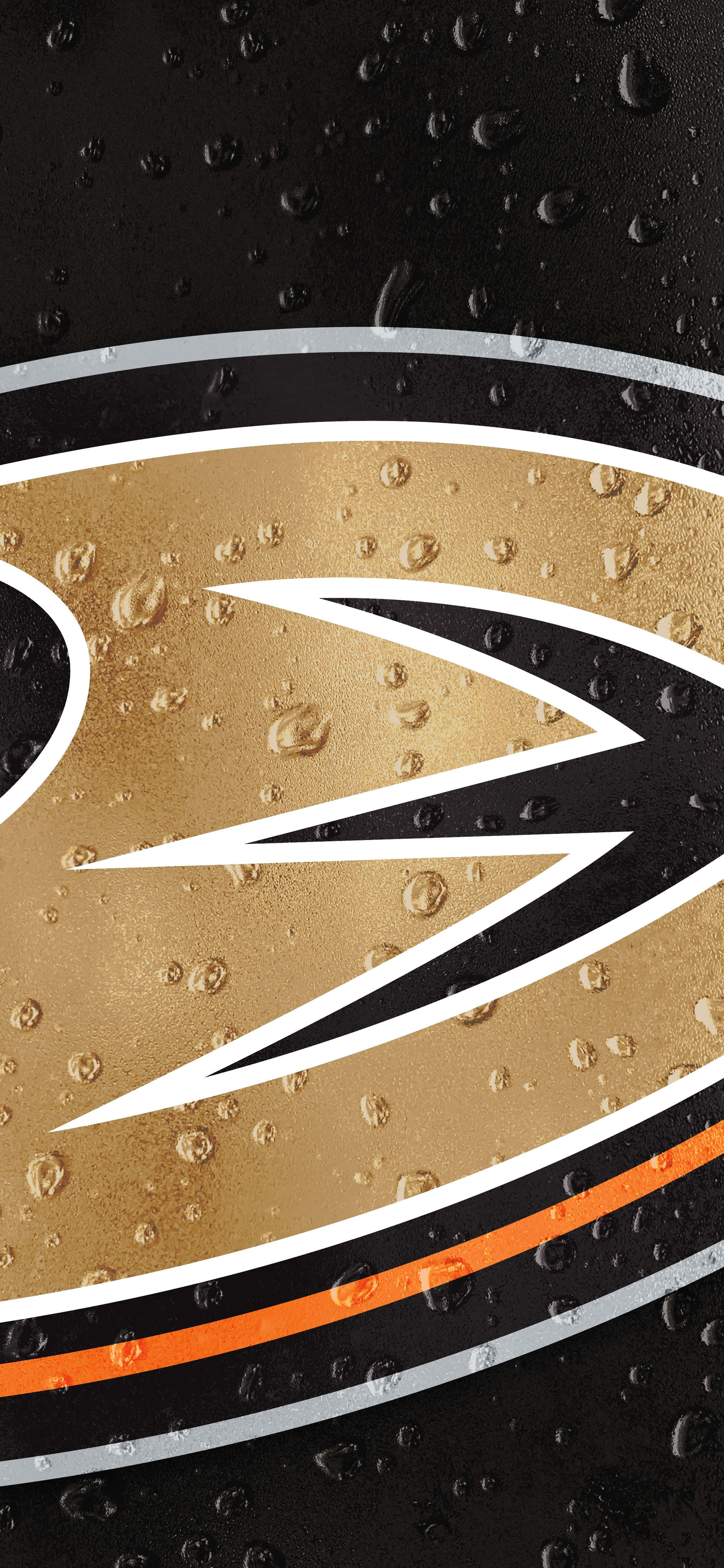 Anaheim Ducks ra sân đầy phong cách Hình nền