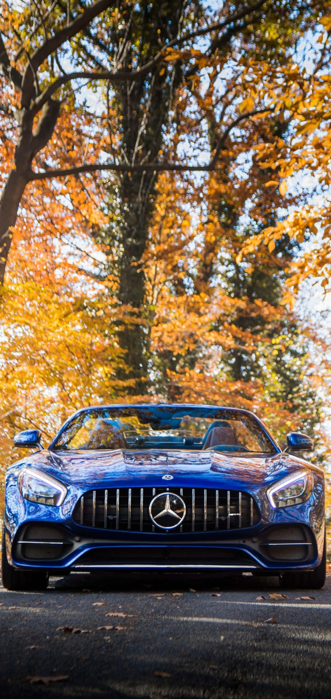 Android Amg Gt-r Nền Lá Cây Vàng Hình nền