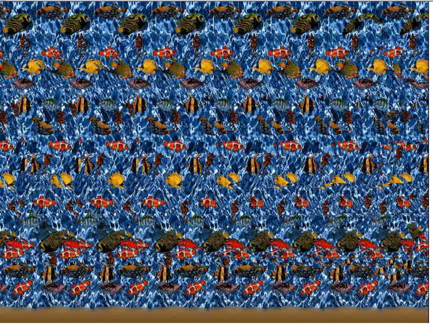 Ảnh 3D Stereogram Mắt Thần Kỳ Cá Hề Đại Dương Hình nền