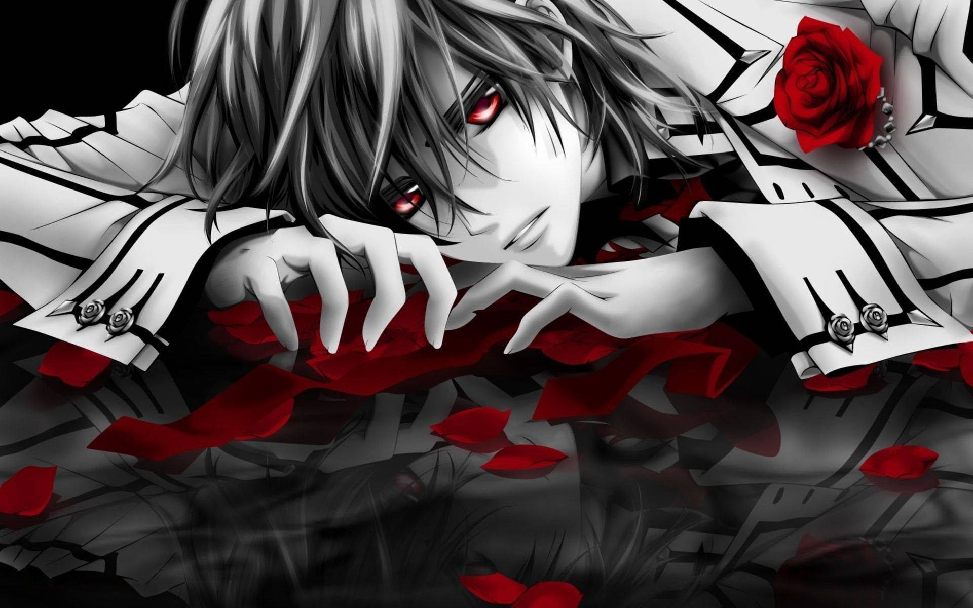 Ảnh đại diện Anime Dễ thương Hiệp sĩ Ma cà rồng Hình nền