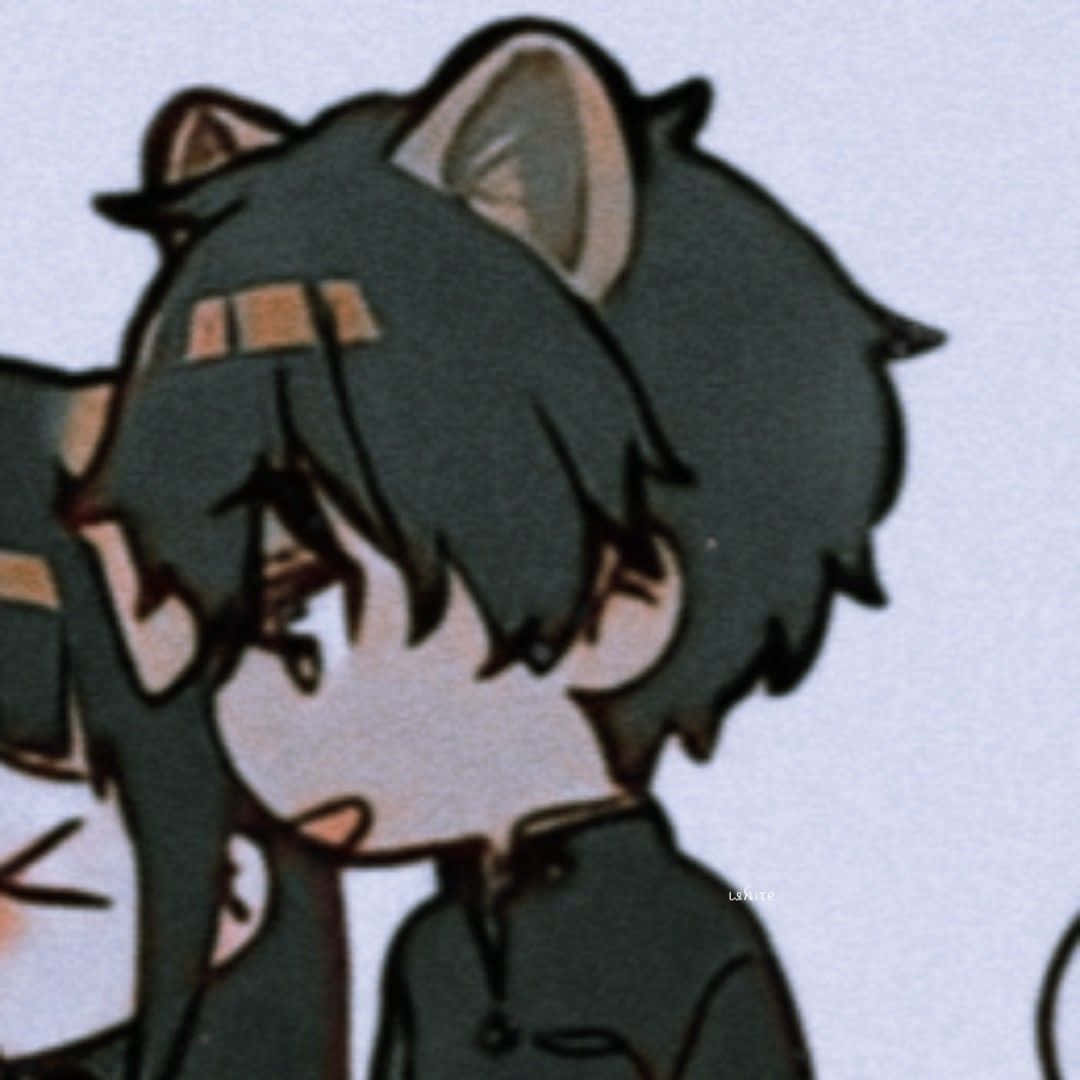 Ảnh đại diện cặp đôi anime trai mèo Hình nền