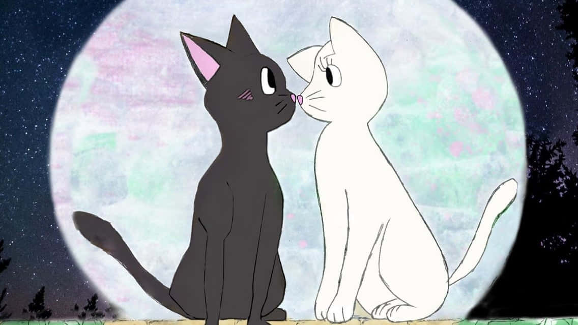 Ảnh đại diện cặp mèo Sailor Moon Hình nền