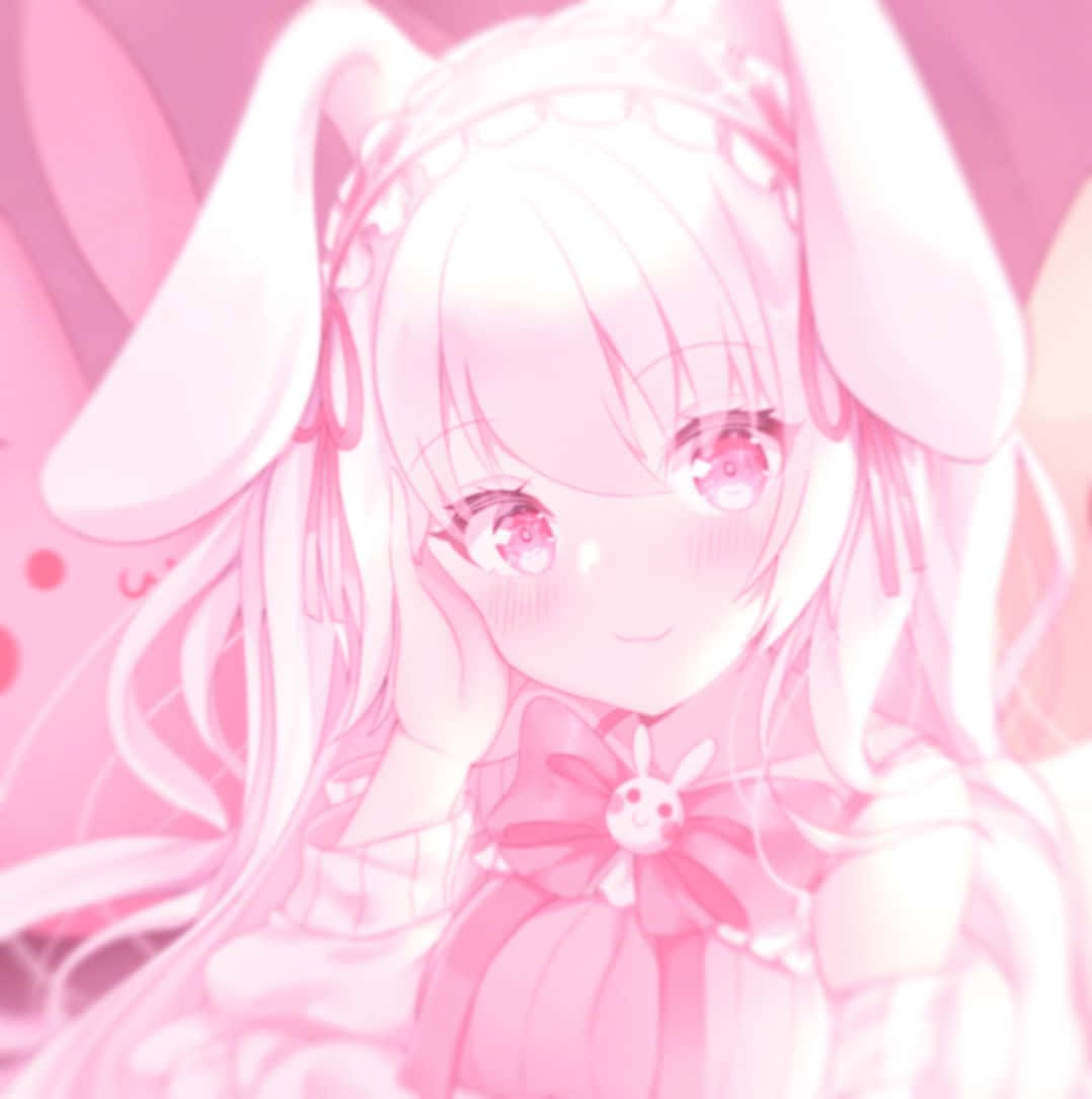 Ảnh đại diện Discord Anime Hồng Thẩm mỹ Hình nền