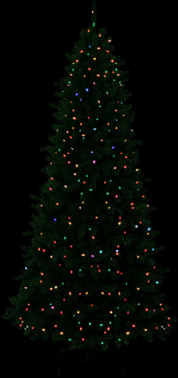 Ánh đèn cây thông Noel lấp lánh Hình nền