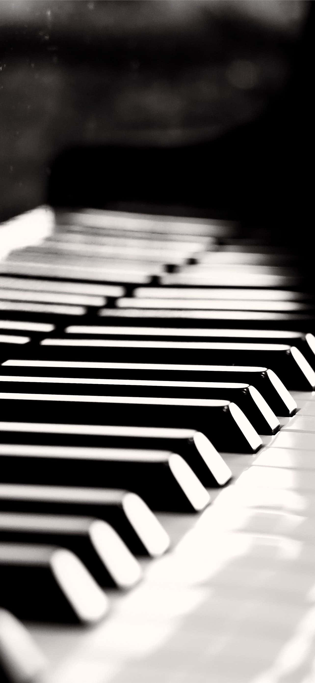 Ảnh đen trắng đàn piano Hình nền