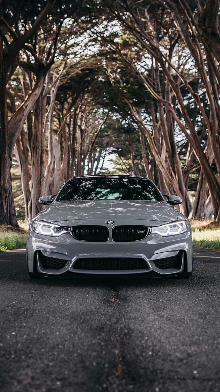 Ảnh nền Pixel 3 BMW M4 màu Silverstone Metallic II Hình nền