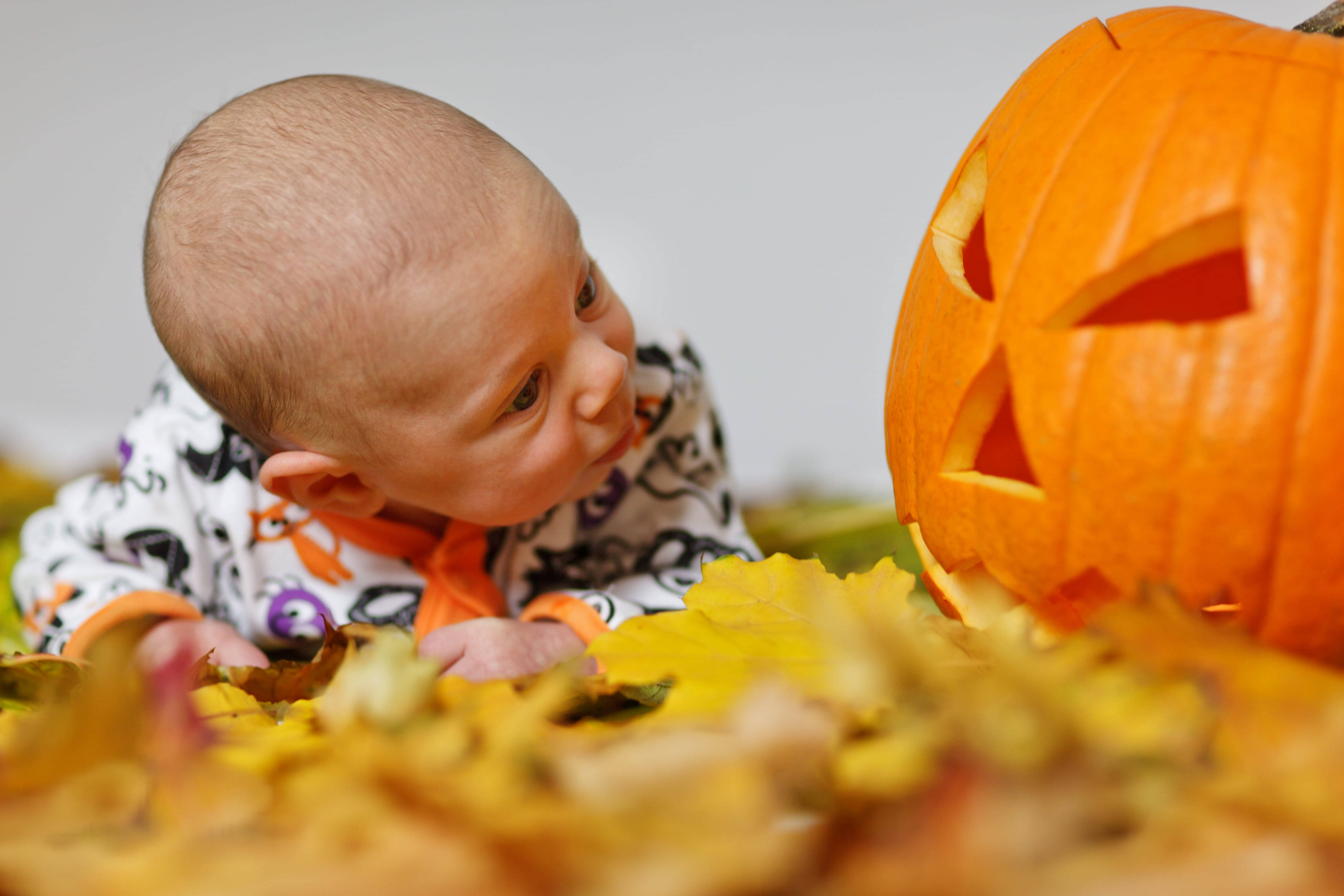 Ánh nhìn bí ngô Halloween dễ thương của bé Hình nền