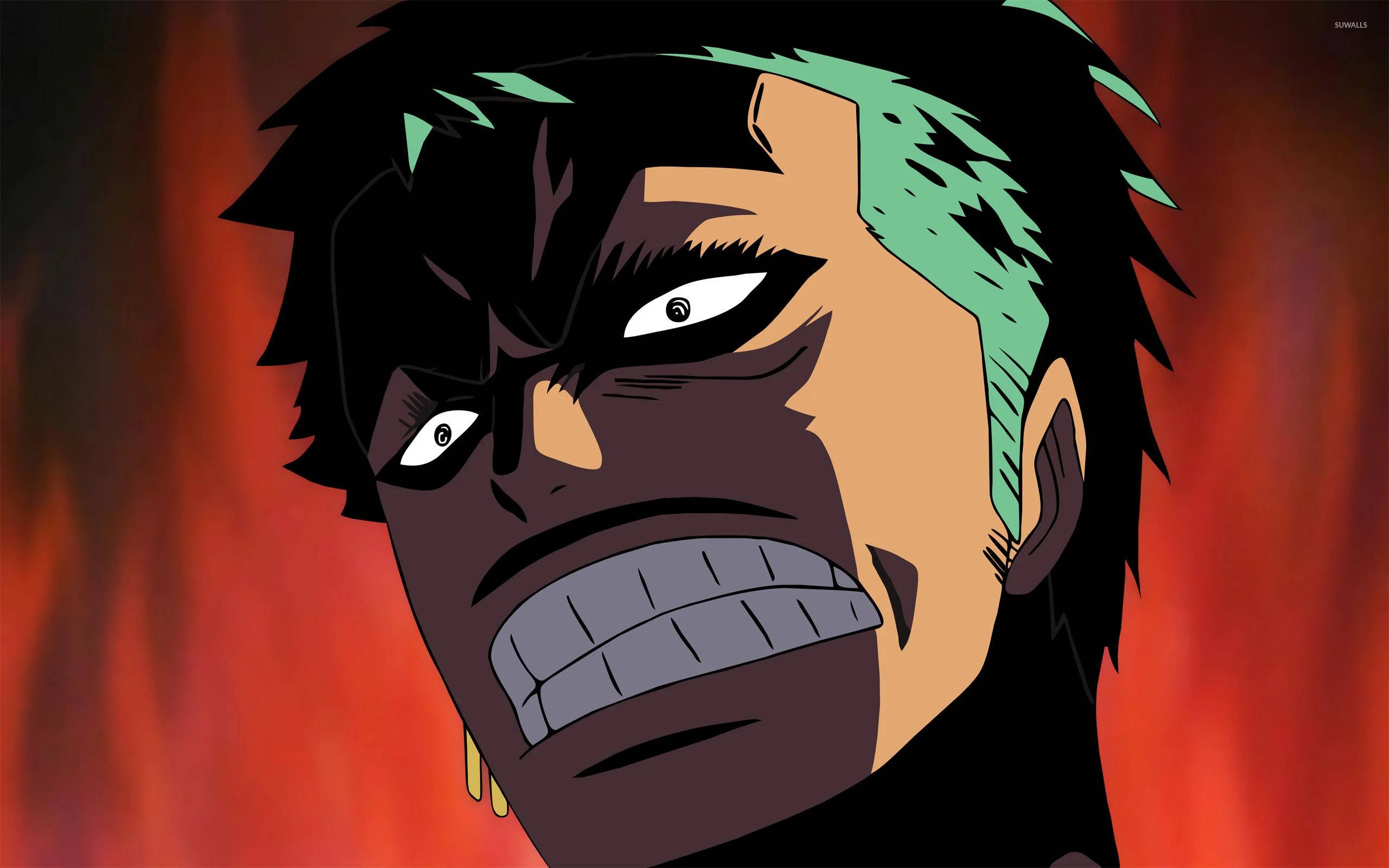 Anime Hài Hước One Piece Zoro Hình nền
