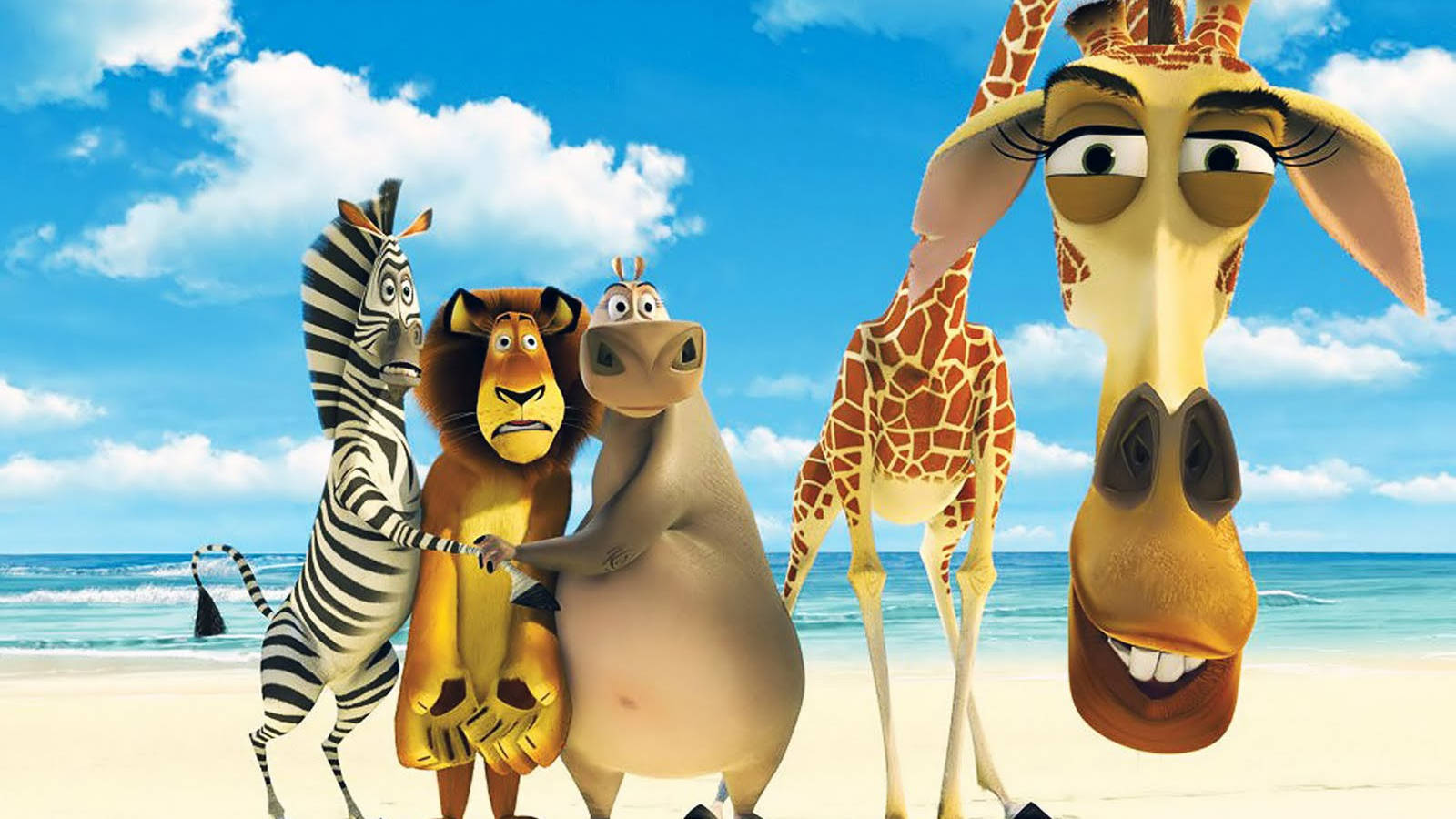 Anime Madagascar Hài Hước Hình nền