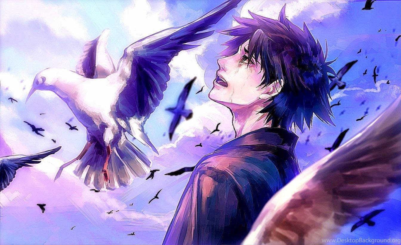 Hình nền anime nam buồn và chim