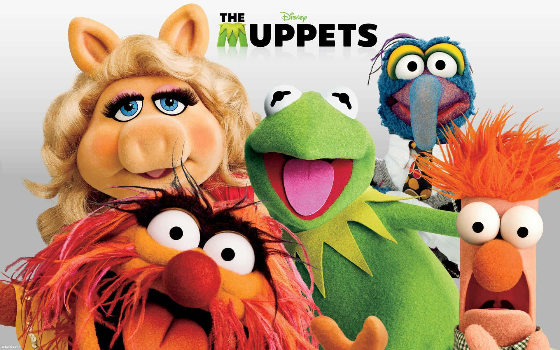 Áp phích phim The Muppets Hình nền