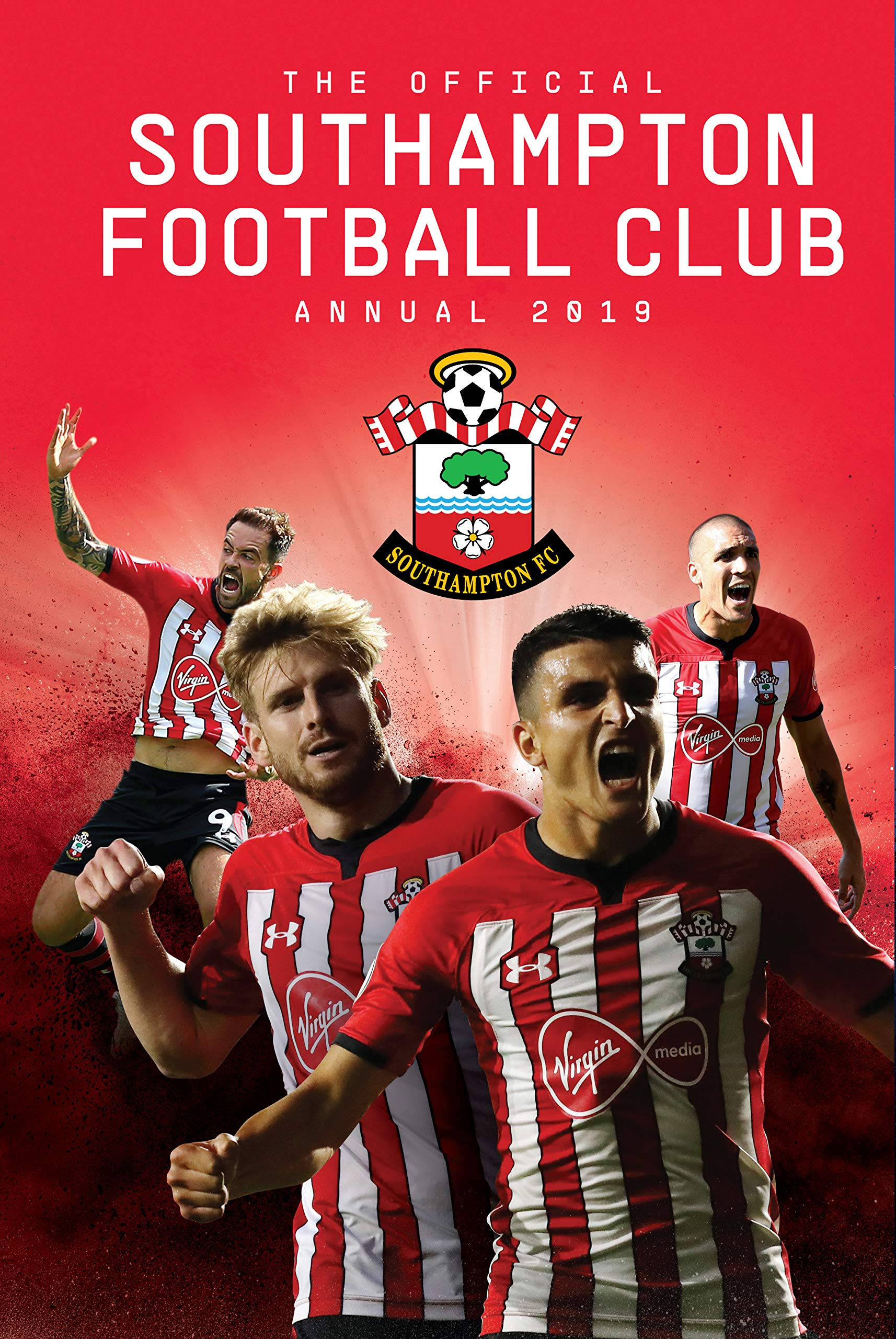 Áp phích Southampton FC 2019 Hình nền