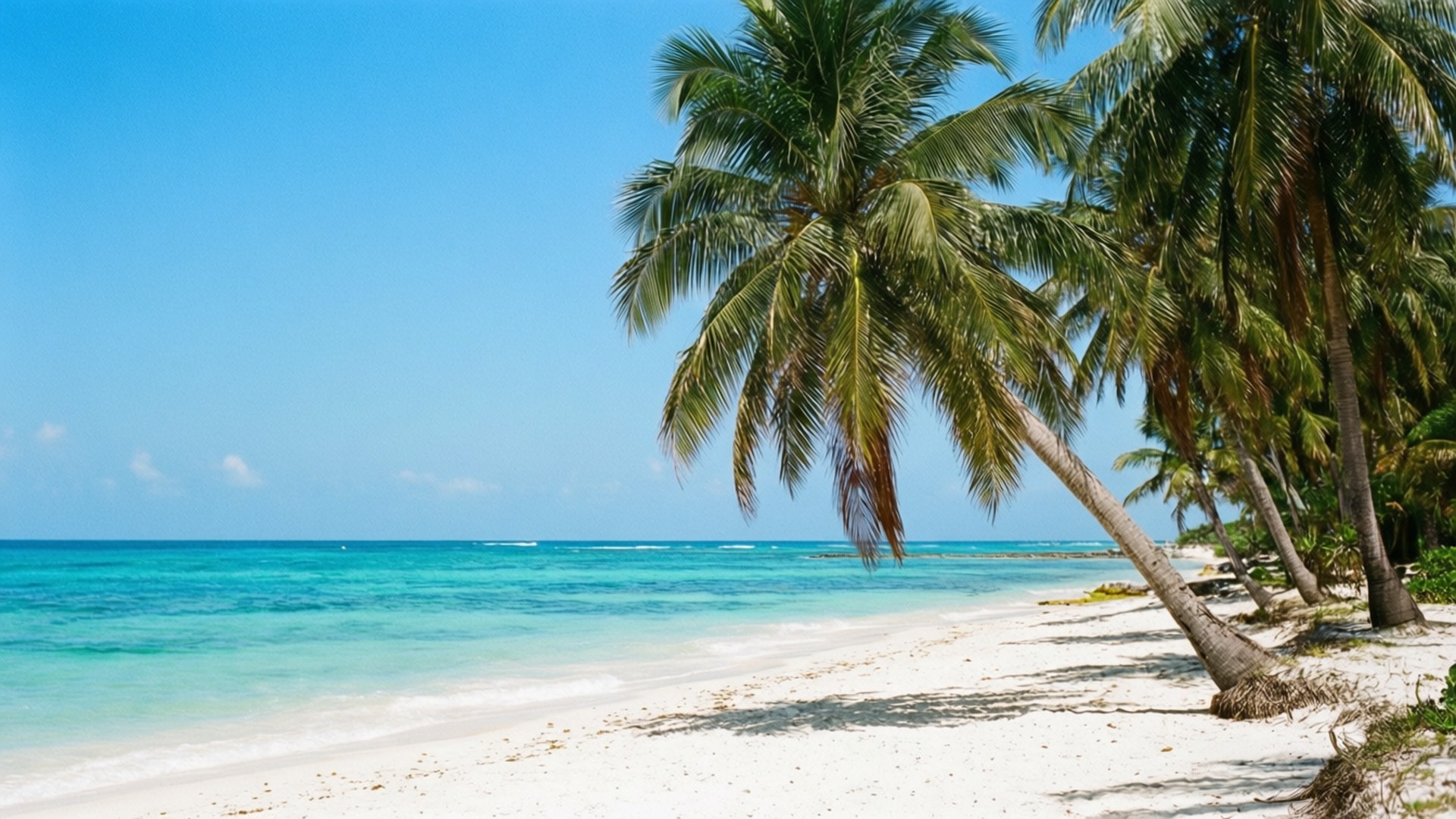 Bãi biển nhiệt đới tuyệt đẹp Hình nền
