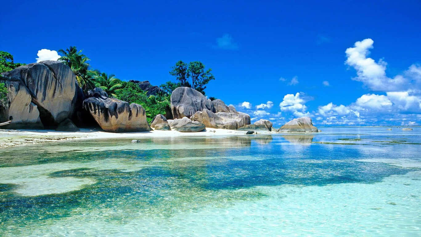 Bãi biển HD