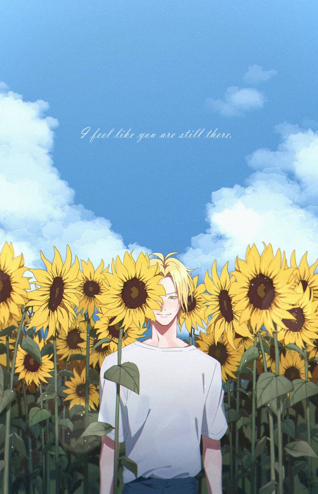 Banana Fish Ash Lynx Hoa Hướng Dương Hình nền