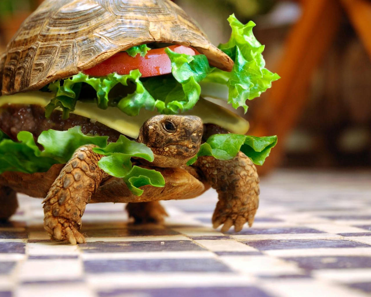 Bánh Burger Rùa Ngầu Hình nền