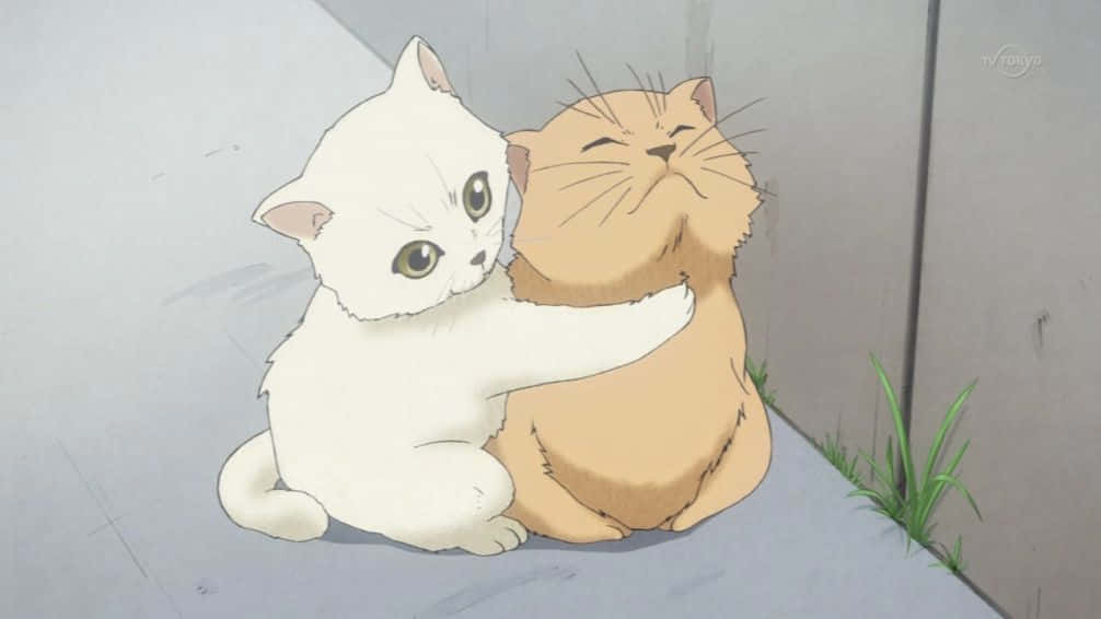 Bắt gặp khoảnh khắc đáng yêu của chú Mèo Anime tinh nghịch Hình nền