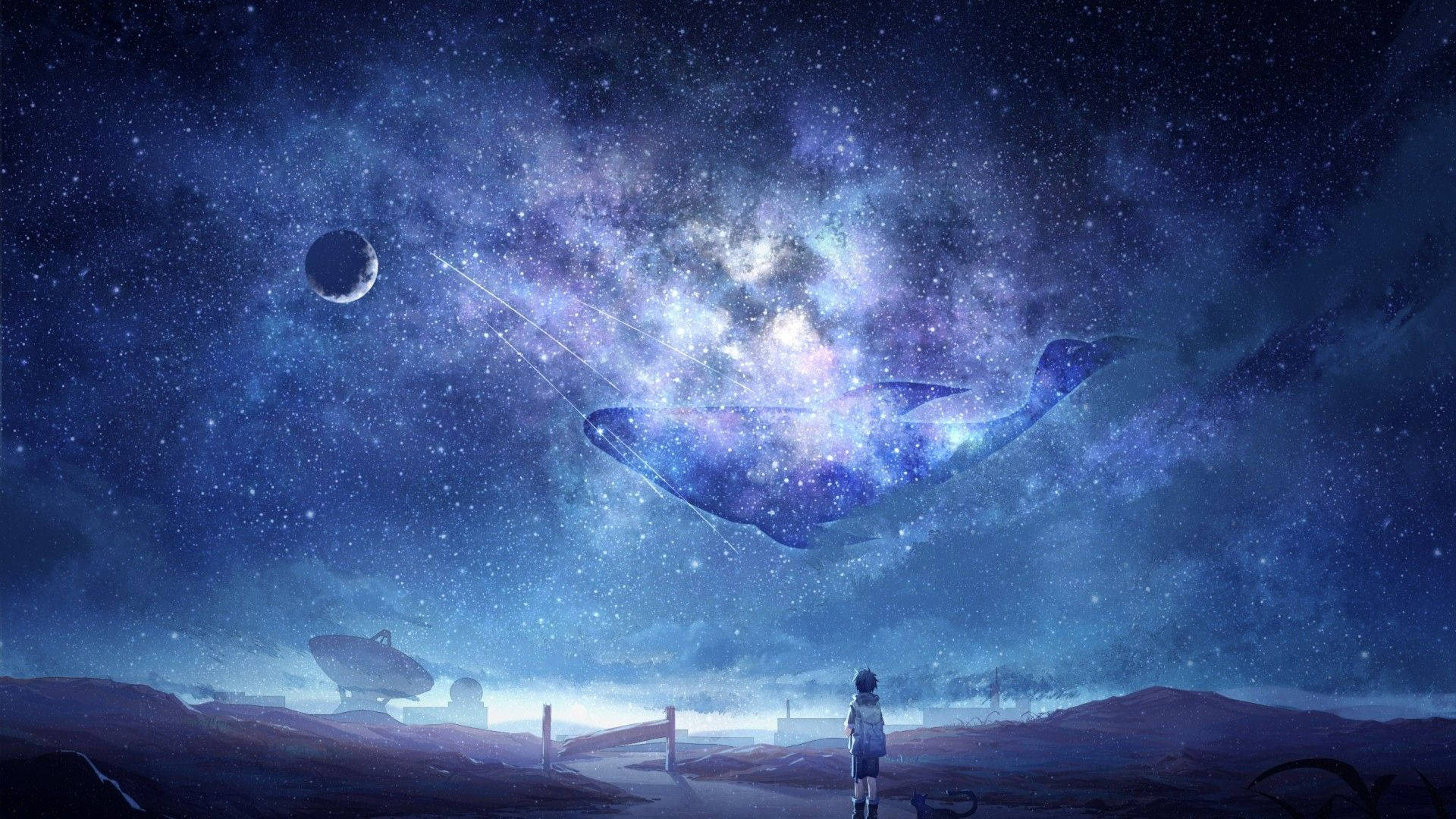 Cậu Bé Anime Đứng Dưới Bầu Trời Đêm