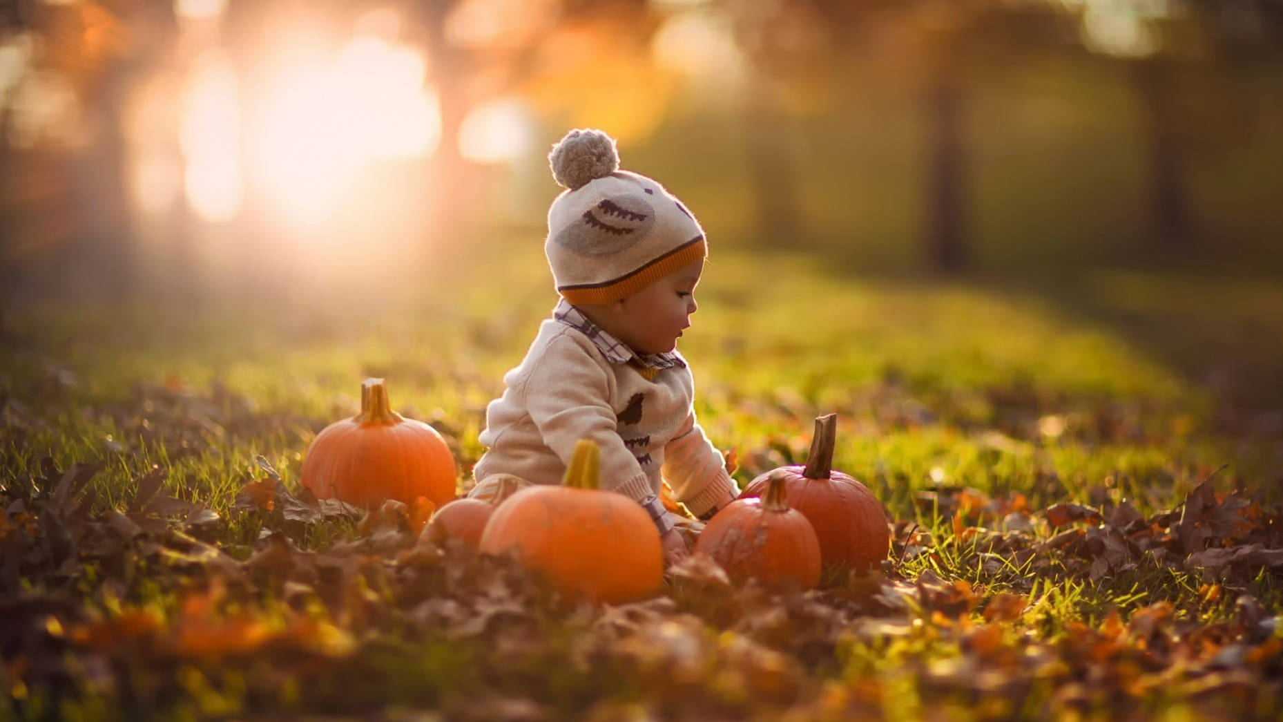 Bé Cưng Halloween Trong Công Viên Hình nền