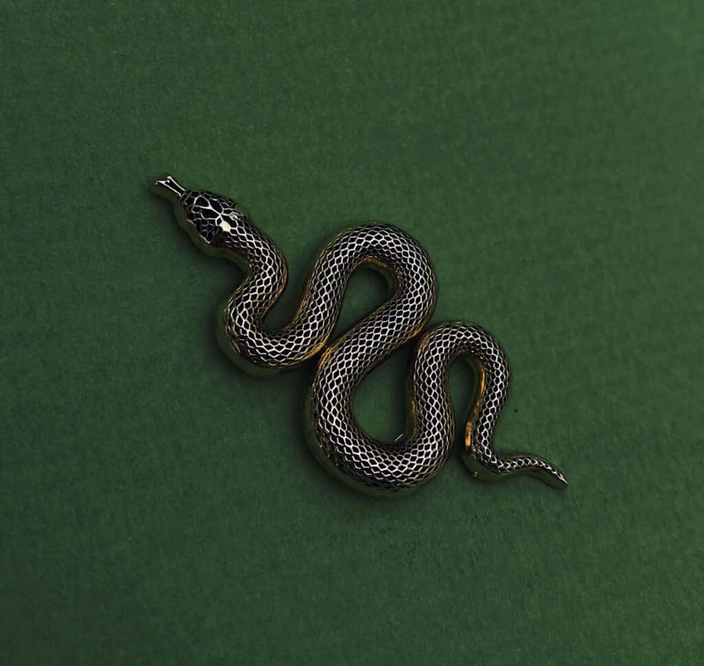 "Bí Mật Cổ Xưa Của Thẩm Mỹ Slytherin" Hình nền