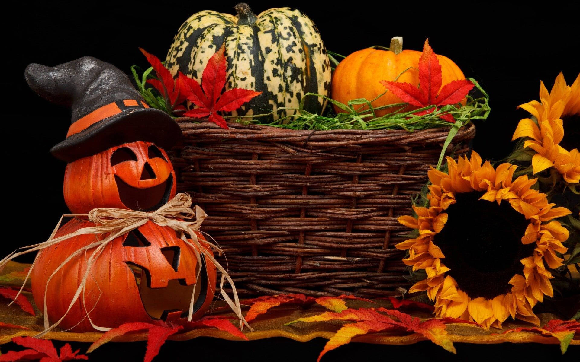 Bí ngô Halloween dễ thương cùng hoa Hình nền