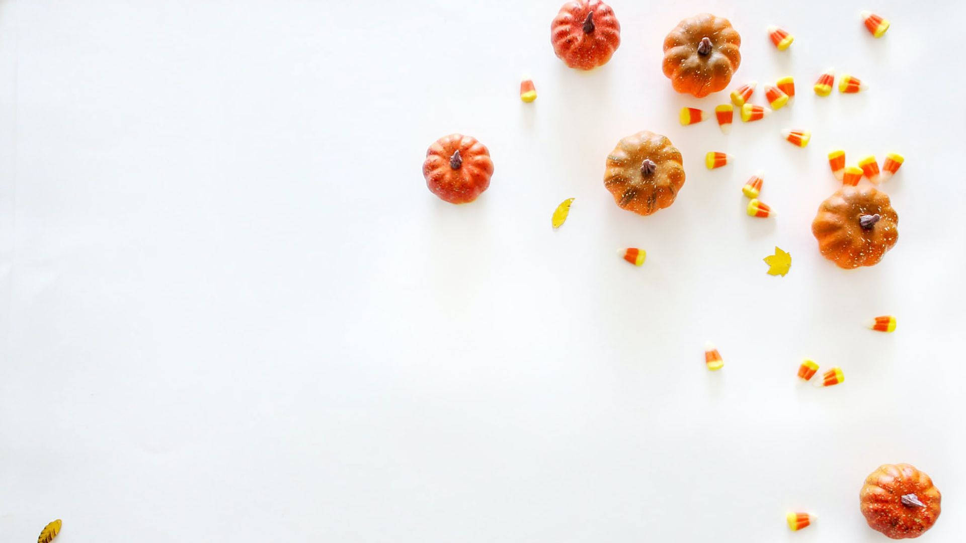 Bí ngô Halloween nhỏ xinh thẩm mỹ Hình nền