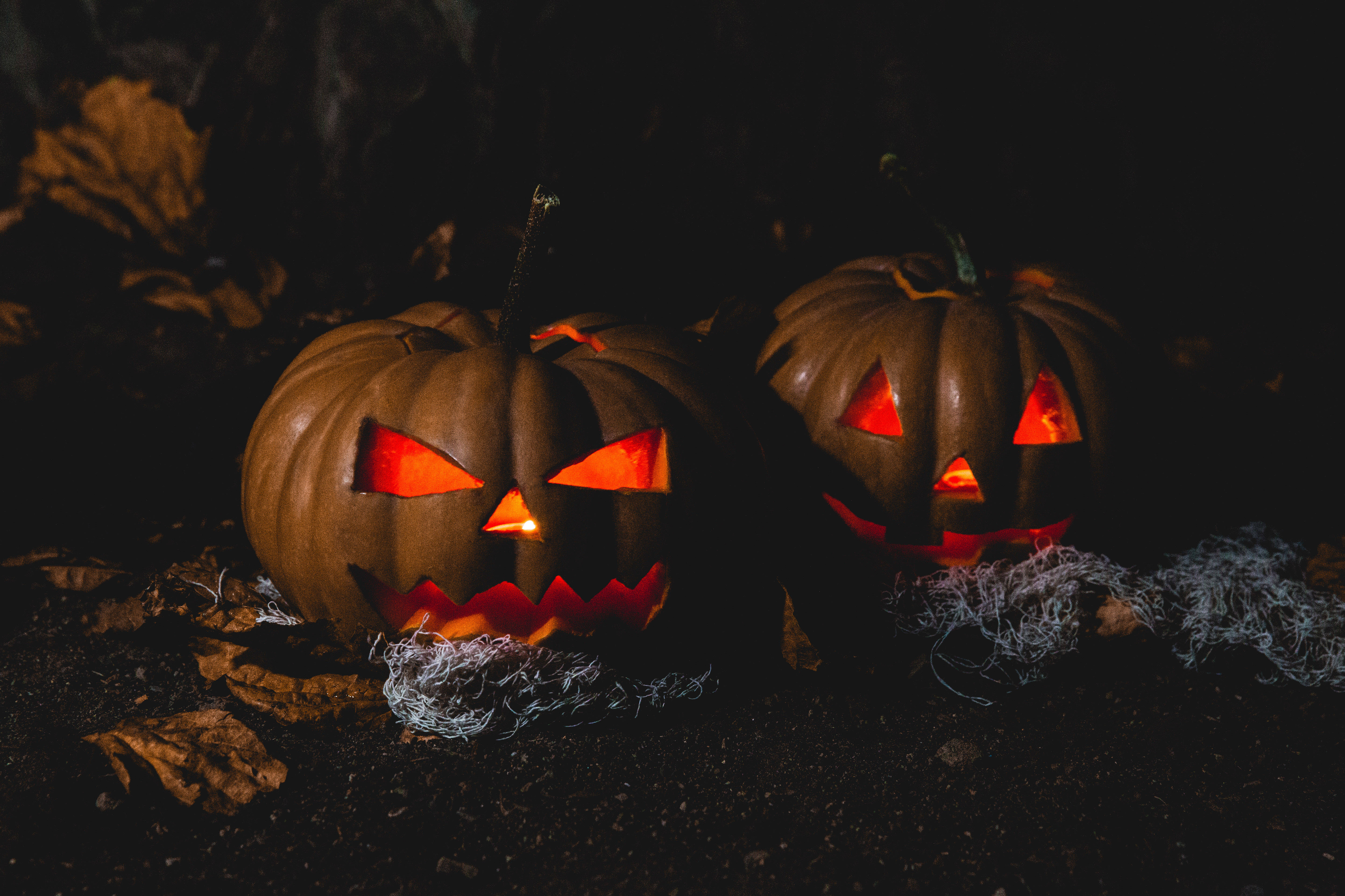 Bí ngô ma quái cho Halloween rùng rợn Hình nền