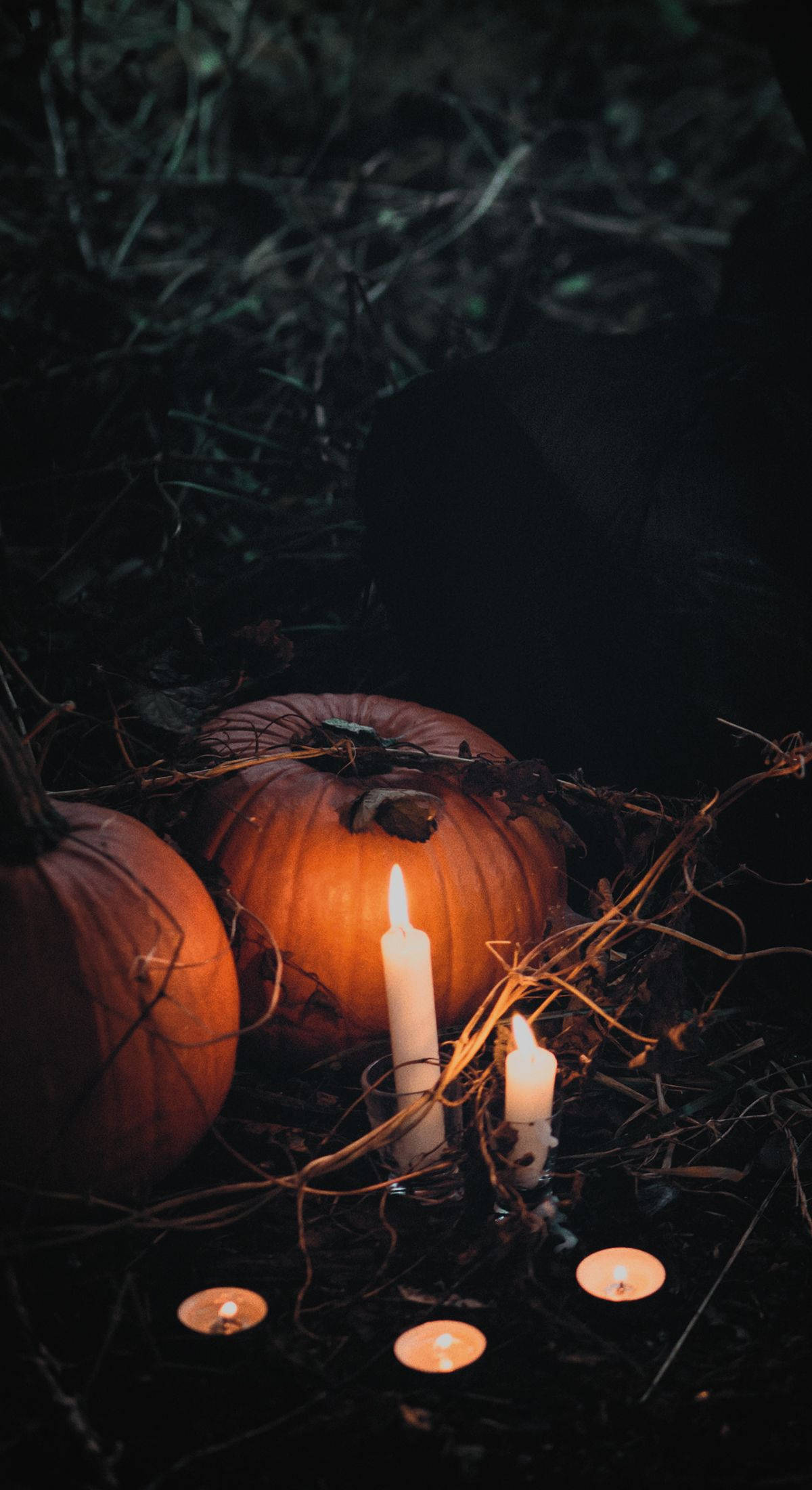 Bí Ngô Và Nến Halloween iPhone Hình nền