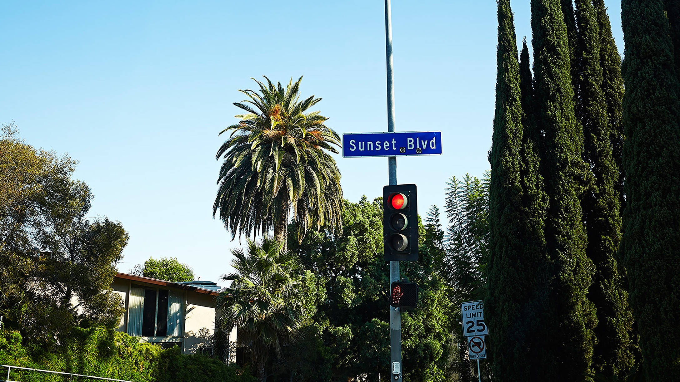 Biển hiệu xanh Sunset Boulevard Hình nền