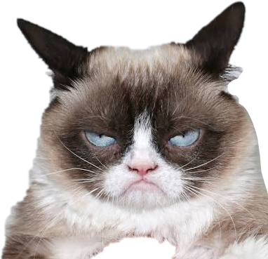 Biểu cảm mèo cau có.PNG Hình nền