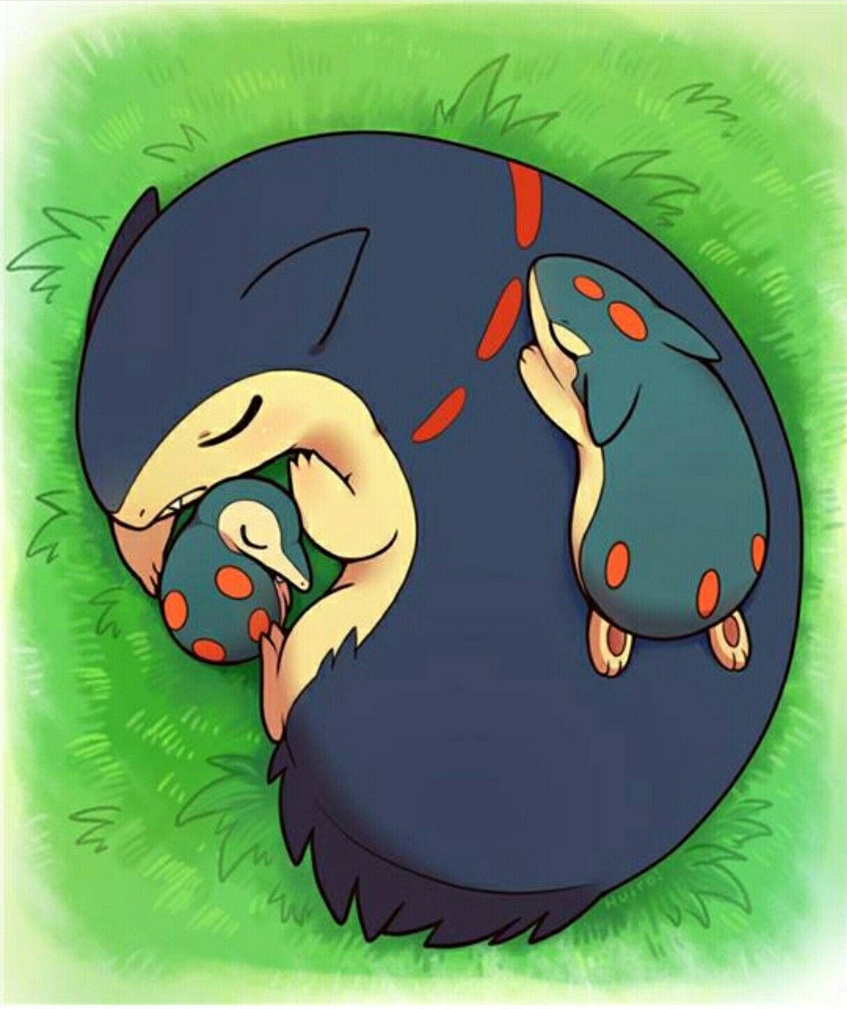 Big Typhlosion Ngủ Hình nền