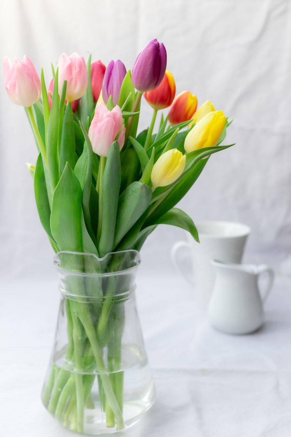 Bình hoa tulip sặc sỡ Hình nền