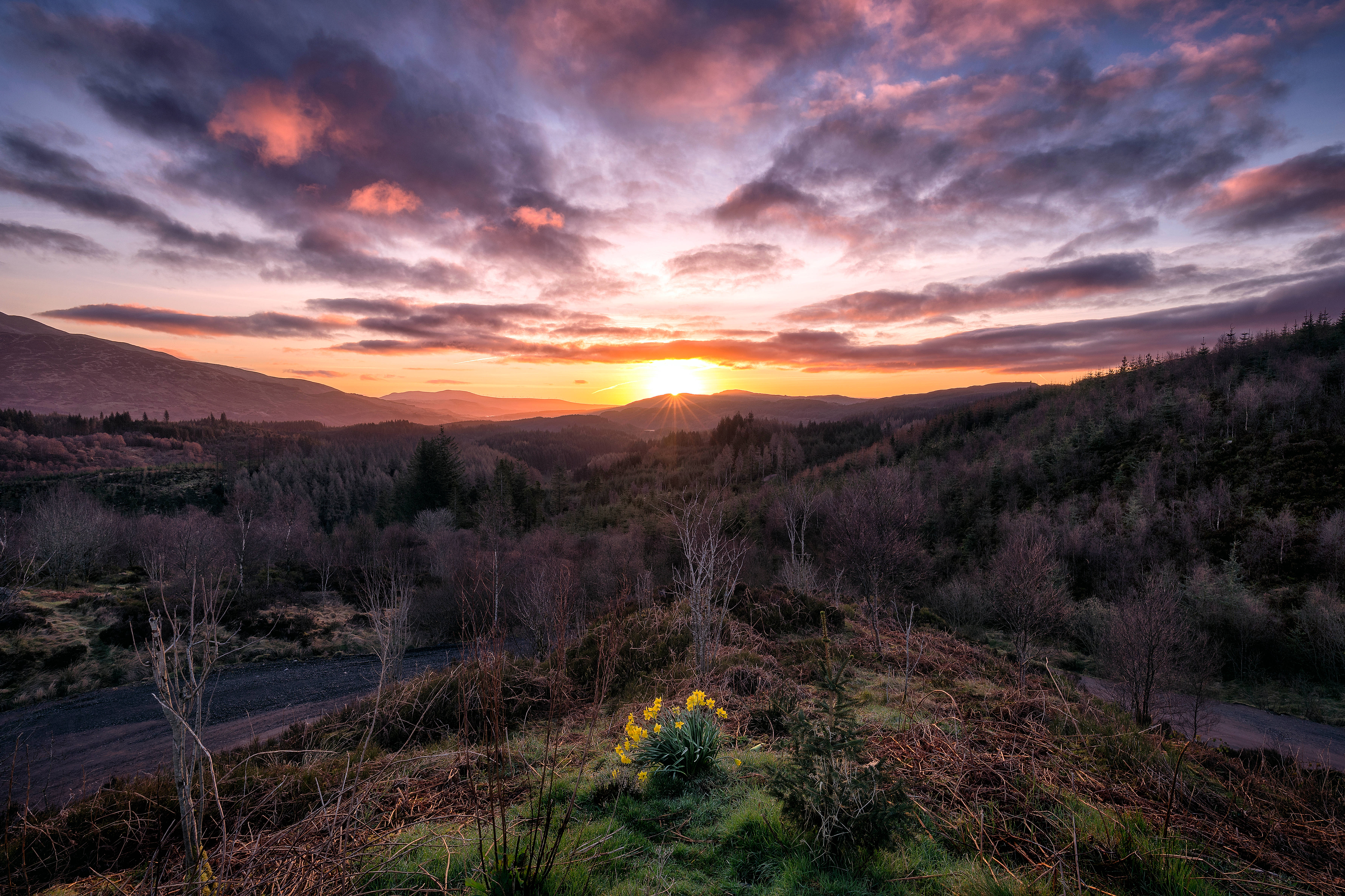 Bình minh kỳ diệu của Công viên Trossachs ở Scotland Hình nền