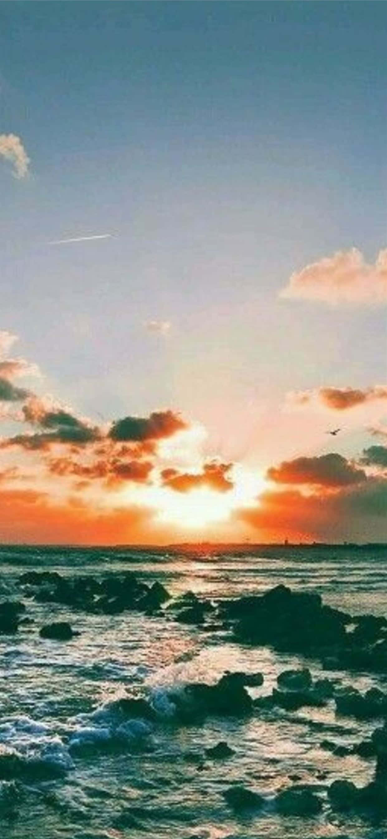 Bình minh yên bình, một lời nhắc nhở rằng Cuộc sống là một trải nghiệm thẩm mỹ Hình nền