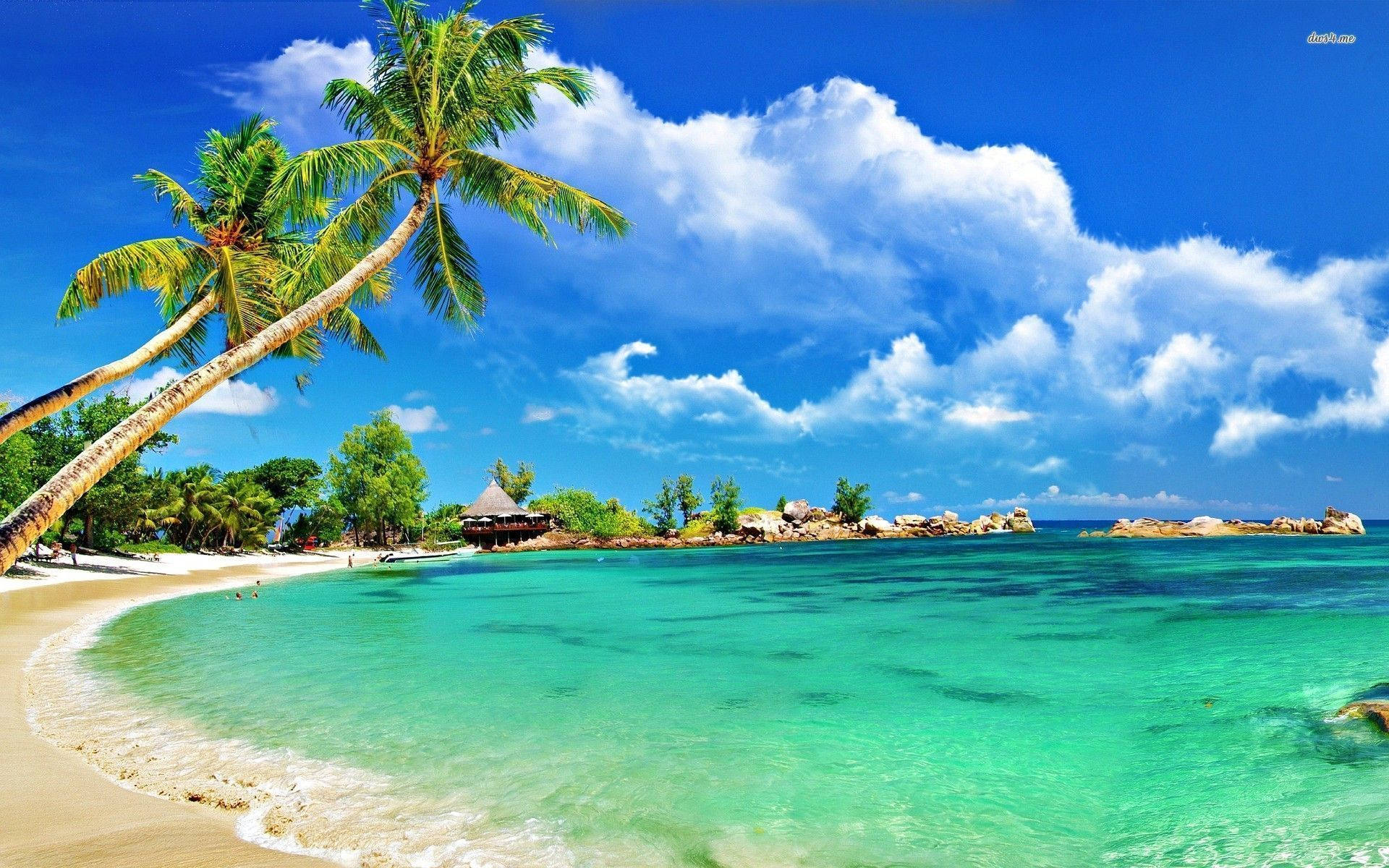 Bờ biển Montego Bay nhiệt đới