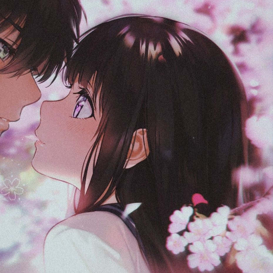 Bộ đôi anime hài hòa trong hành động Hình nền