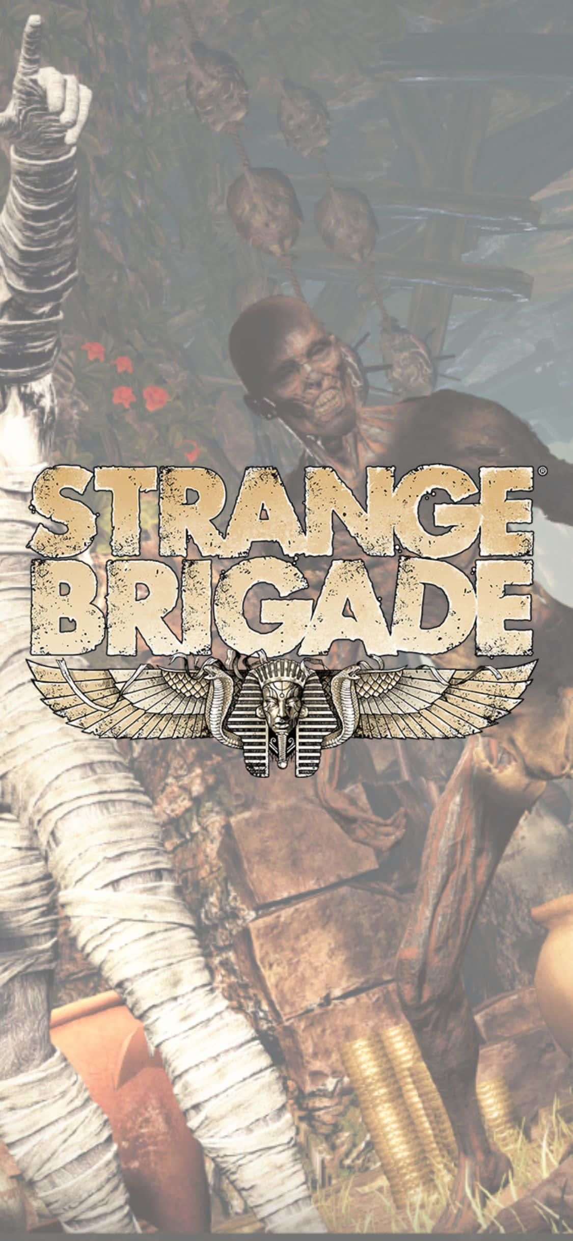 Skeleton And Wrapped Zombies iPhone X Strange Brigade Background Hình nền