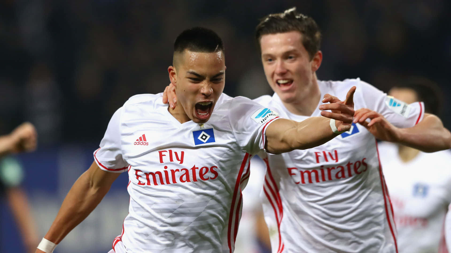 Bobby Wood và Michael Gregoritsch trong trận đấu Bundesliga Hình nền