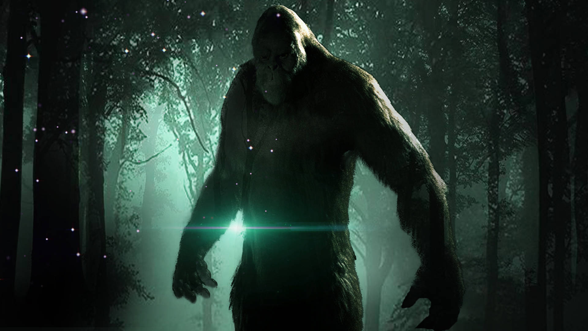Bóng Bigfoot Trong Khu Rừng Xanh Hình nền