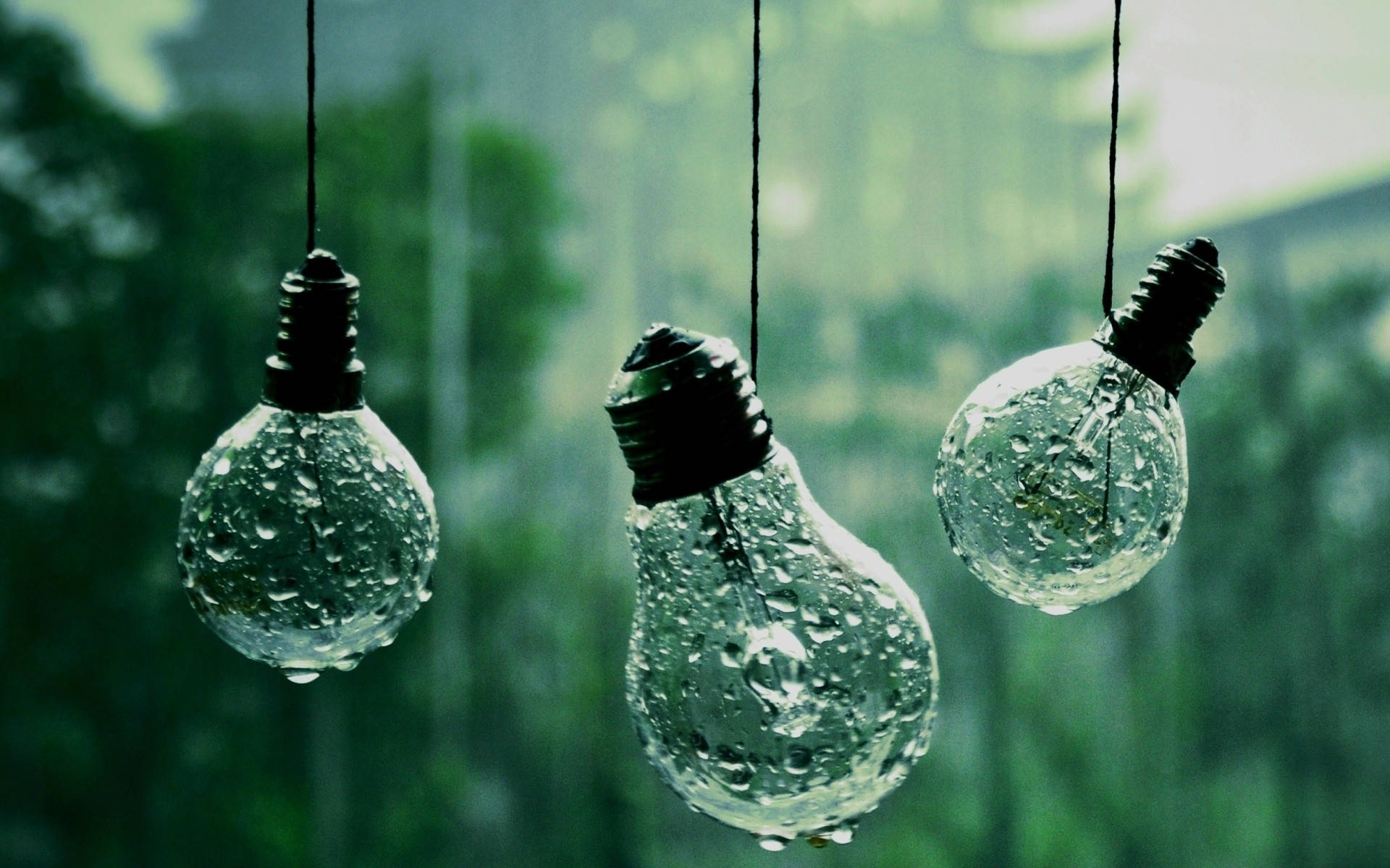 Bóng đèn mờ sương Hình nền
