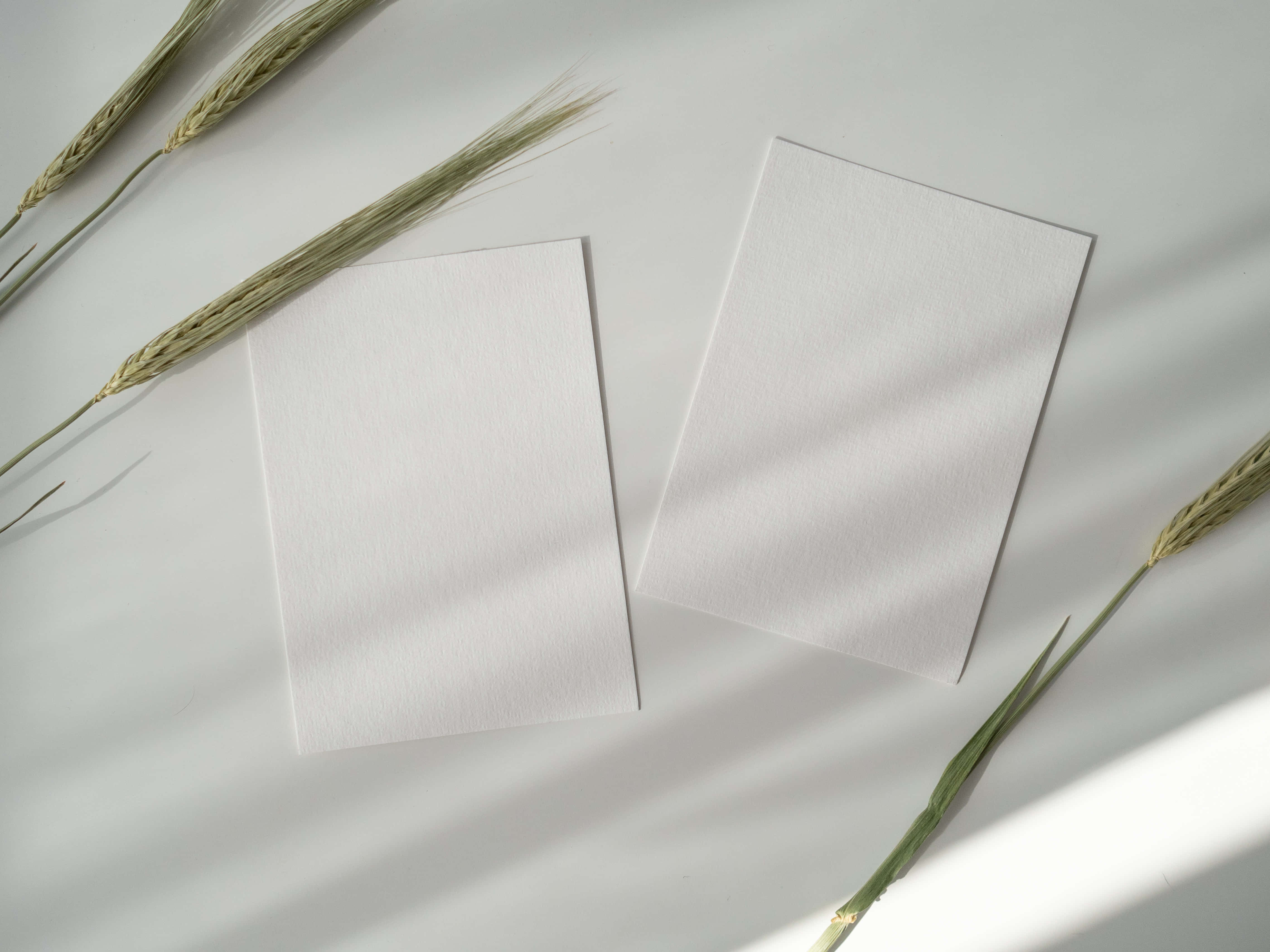 Bóng Trắng In Trên Nền Tối Hình nền