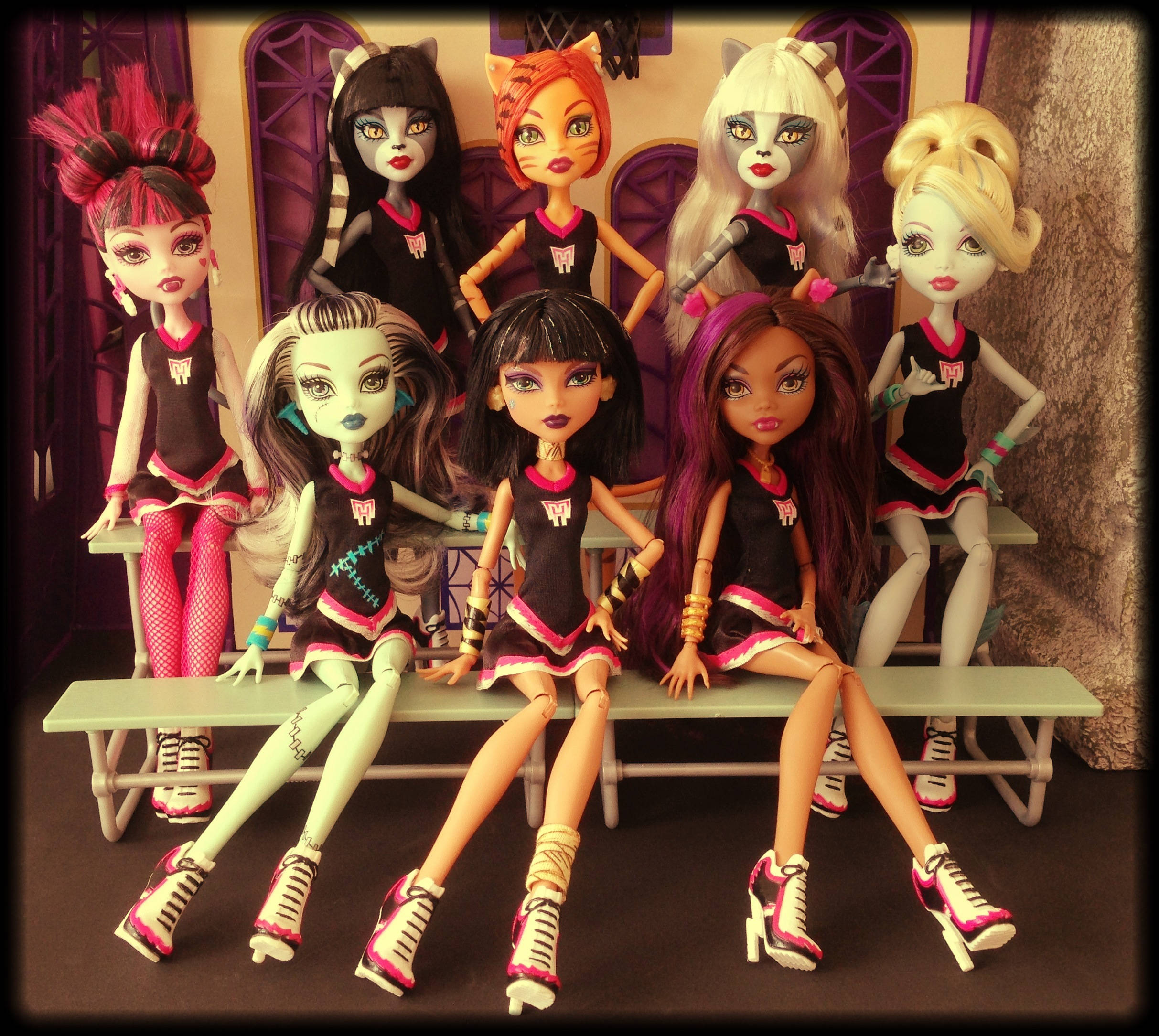 Bratz Thẩm Mỹ Bộ Sưu Tập Cô Gái Mèo Hình nền